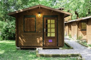 Wooden bungalows on campsite camping. Green trees